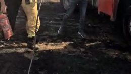 Siirt'te Korkutucu Anız Yangını: İtfaiye Aracı Alevlere Kapıldı!