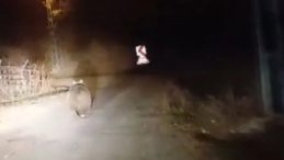 Sivas'ta 'Koca Oğlan' Kameralara Yansıdı: Seyir Halindeyken Önüne Ayı Fırladı!