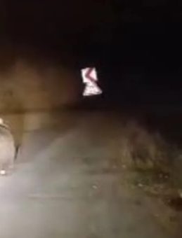 Sivas'ta 'Koca Oğlan' Kameralara Yansıdı: Seyir Halindeyken Önüne Ayı Fırladı!