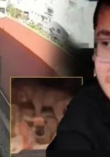 SON DAKİKA: Vicdansız doktor davasında karar a&ccedil;ıklandı! Sahiplendiği k&ouml;pekleri &ouml;ld&uuml;r&uuml;p poşetlerle taşımıştı&hellip;