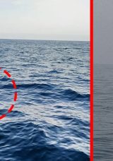 SON DAKİKA: Zonguldak'ta şok eden gelişme! Salyangoz avında dikkat &ccedil;ekici bulgu