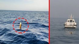 SON DAKİKA: Zonguldak'ta şok eden gelişme! Salyangoz avında dikkat çekici bulgu