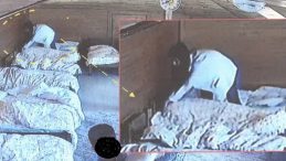 SON DAKİKA&hellip; Oyuncak ayının i&ccedil;ine yerleştirilen ses kayıt cihazı vahşeti ortaya &ccedil;ıkardı: Kreşte 15 &ccedil;ocuğa sistematik şiddet!