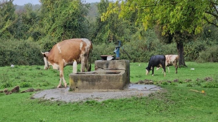 Su Kuyusunda Genç Bir Kadına Ait Ceset Bulundu