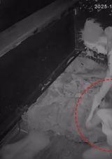 Taksim'de Korku Evi Faciaya D&ouml;n&uuml;şt&uuml;: Sa&ccedil;ından Tutup Yere Yıktı, Elektroşokla Sarsıldı