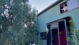 Tam 3 bin yıllık! Evini zeytin ağacına görecek şekilde inşa etti