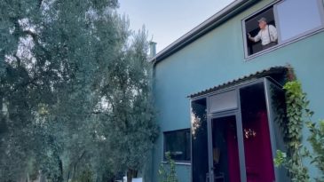 Tam 3 bin yıllık! Evini zeytin ağacına g&ouml;recek şekilde inşa etti