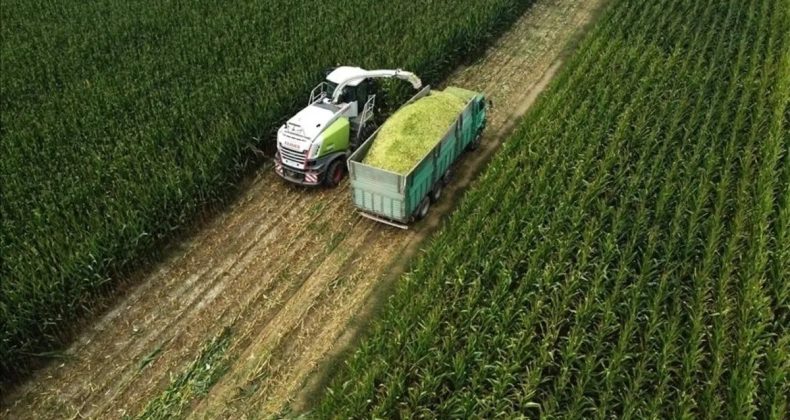 Tarıma Y&ouml;nelik Hazine Destekli Finansman Limitleri G&uuml;ncellendi