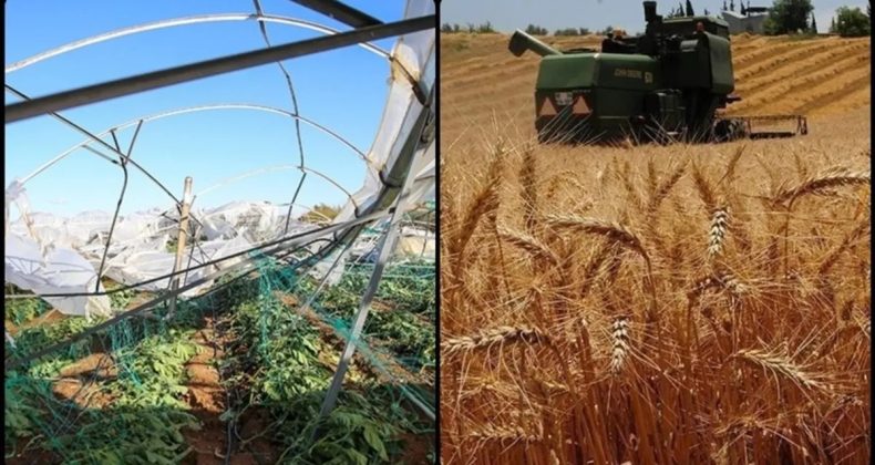 TARSİM Üreticilere Bu Yıl 27 Milyar Lira Hasar Ödemesi Yaptı