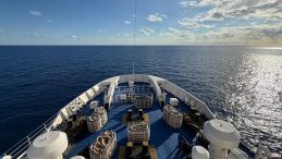 Türkiye'den Gazze'ye uzanan yardım köprüsü: İyilik Gemisi El-Ariş Limanı'na ulaştı