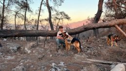 Türkiye'nin Doğa Kahramanları: "Ateş ve Barut" Projesi