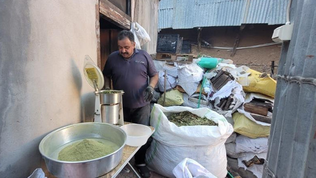 Üniversite Öğrencilerine Tez Konusu Oldu! Nesilden Nesile Aktarılan Zetrin Yeniden Keşfediliyor