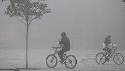 Yoğun Sis: Görüş Mesafesi 20 Metreye Kadar Düştü