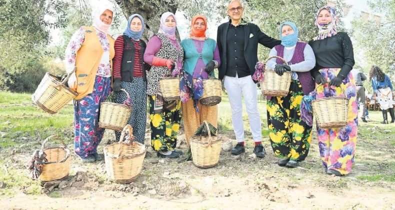 Zeytin Geleneği Kadınların Eline Emanet