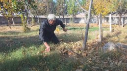 'Cennet Kuşlarının' G&ouml;n&uuml;ll&uuml; Bek&ccedil;isi: Yeni Doğan 40 Bebeğin Mezarı Hasan Amcaya Emanet