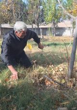 'Cennet Kuşlarının' G&ouml;n&uuml;ll&uuml; Bek&ccedil;isi: Yeni Doğan 40 Bebeğin Mezarı Hasan Amcaya Emanet