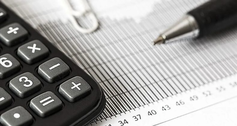 10 Ayda 50 Bin Mükellef İncelendi