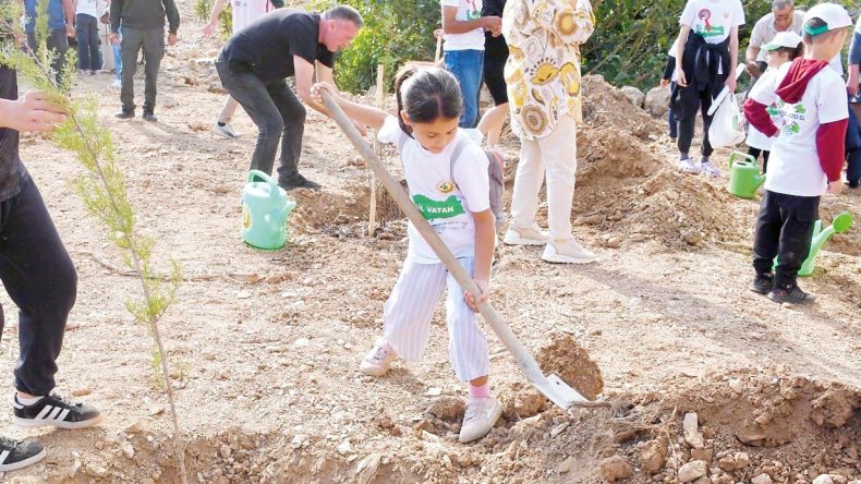 11 Kasım Rekoru: 14.9 Milyon Fidan Toprakla Buluştu