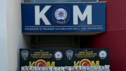 2 Bin 605 G&uuml;mr&uuml;k Ka&ccedil;ağı 'Labubu' Oyuncak Ele Ge&ccedil;irildi