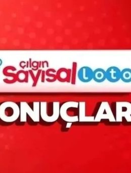 5 Kasım 2025 Sayısal Loto Sonuçları: Milli Piyango ile Sayısal Loto Sonuçları Sorgulama Ekranı