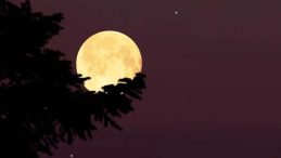 5 KASIM DOLUNAYI BURÇLARA ETKİSİ: Para, Aşk ve Aile… Boğa Burcunda Kunduz Süper Dolunayı!