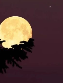 5 KASIM DOLUNAYININ BURÇLARA ETKİSİ: Süper Kunduz Dolunayı burçlara etkileri neler, hangi burcu nasıl etkileyecek?