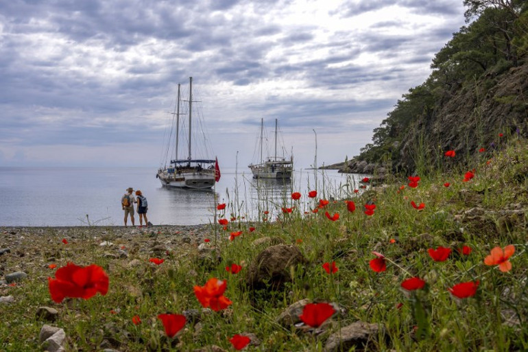 Türkiye yürüyüş yolu