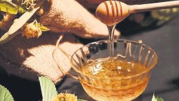 AB T&uuml;rk Lezzetlerine Hayranlık Duyuyor