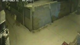 Adana'da Hırsızlık Anı Kamerada: Park Halindeki Kamyonetten &Ccedil;aldı!