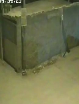 Adana'da Hırsızlık Anı Kamerada: Park Halindeki Kamyonetten Çaldı!