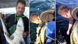 Ağında Sıkışan Camg&ouml;z K&ouml;pek Balığı Suya Bırakıldı