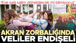 Akran Zorbalığı Hakkında Velilerin Endişeleri