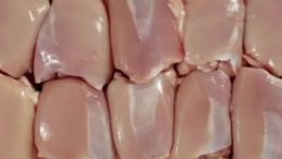 Antalya'da 25 Ton Bozuk Tavuk Ele Ge&ccedil;irildi!