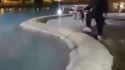 Antalya'da Şok Eden Görüntüler: Sokak Kedisini Defalarca Havuzda Attılar!