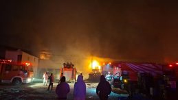 Antalya’da Paketleme Fabrikasında Yangın Çıktı