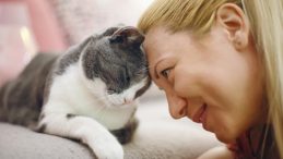 Antik Mısır Gizemi Ortaya &Ccedil;ıktı: Kediler İnsanlarla Ne Zaman Bir Arada Yaşadı?