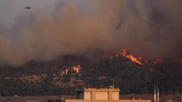 Araç Tamiri Sırasında Ormanı Yakanların Yargılanmasına 7 Yıl Hapis Cezası İstemi