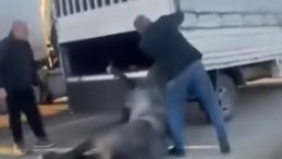 Arkasına Bağladığı Atı Dakikalarca S&uuml;r&uuml;kledi!