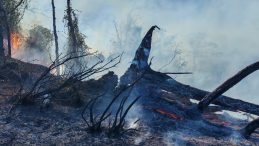 Artvin&rsquo;de &ouml;rt&uuml; yangını ormana yayıldı