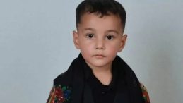 Aydın'da Minik Enes Kamyonetin Altında Kalarak Hayatını Kaybetti: O Davada Karar Açıklandı!