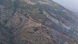 Aydın'daki Orman Yangını Kontrol Altına Alındı