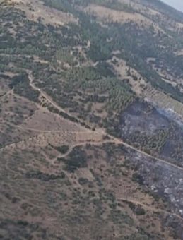 Aydın'daki Orman Yangını Kontrol Altına Alındı