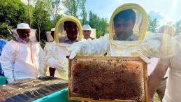 Bakan Kacır'dan Müjdeli Haber: Yenice Ihlamur Balı AB'den Tescil Aldı