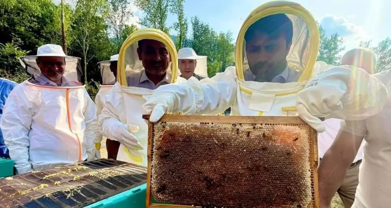Bakan Kacır'dan Müjdeli Haber: Yenice Ihlamur Balı AB'den Tescil Aldı