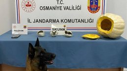 Bal Kabağında Uyuşturucu Tespit Edildi