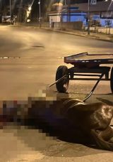 Başıboş Yolda Koşarken Ara&ccedil;la &Ccedil;arpışan At Hayatını Kaybetti