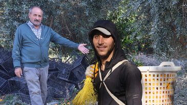Beh&ccedil;ede 2, markette 30 lira | Fiyatı sert d&uuml;ş&uuml;nce vatandaşa &uuml;cretsiz dağıttılar