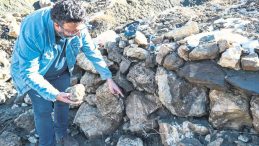 Bing&ouml;l'de Deniz Mi Vardı?