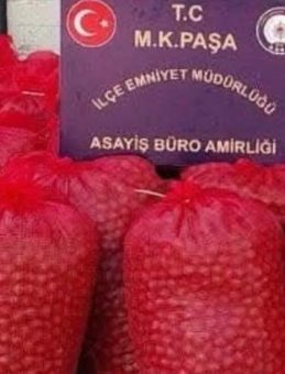 Bir Ton Ceviz Çalan Hırsızlar Yakalandı