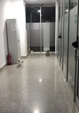 Birg&uuml;n Gazetesi Kediler &Uuml;zerinden Provokasyona Y&ouml;neldi!
